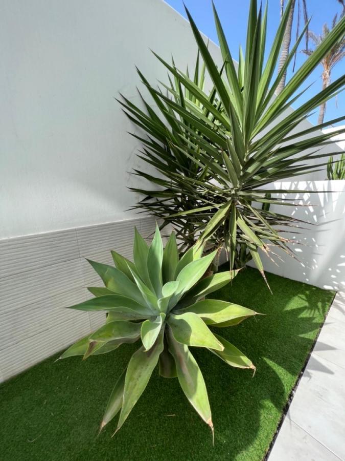 Corralejo Bristol Terrace Apartment Con Giardino Privato Esterno Zewnętrze zdjęcie