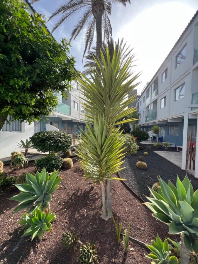 Corralejo Bristol Terrace Apartment Con Giardino Privato Esterno Zewnętrze zdjęcie